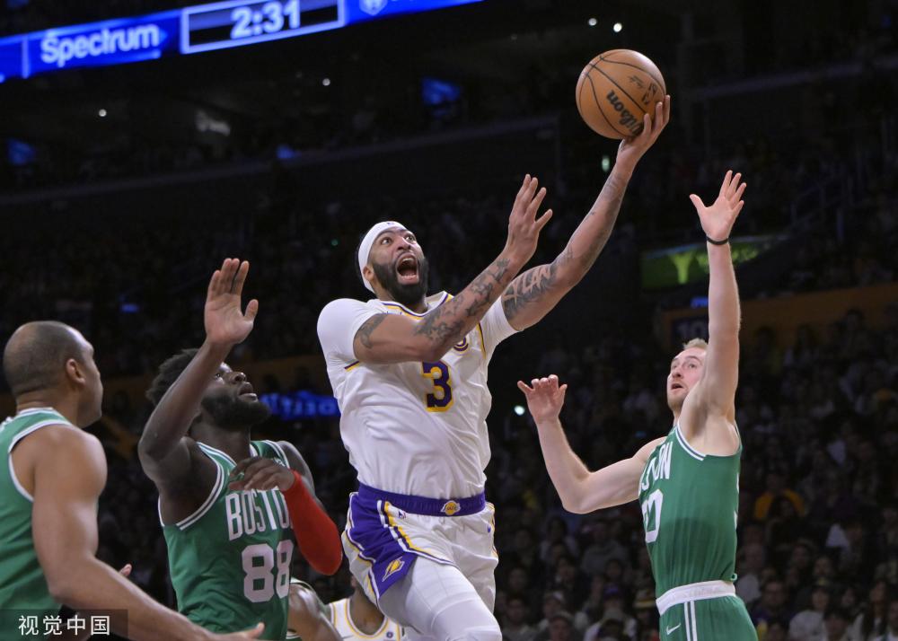 的职业生涯 的职业生涯